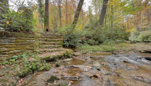 Ski and Hike! Creekside Cabin 7 Mi to Linville Falls - Photo 2