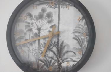 studio cosy la Dacquoise centre-ville internet haut-débit - Foto 13