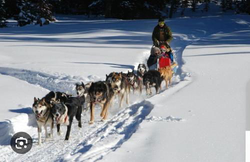 Studio sud 5 personnes superdevoluy pied des pistes - Photo 16