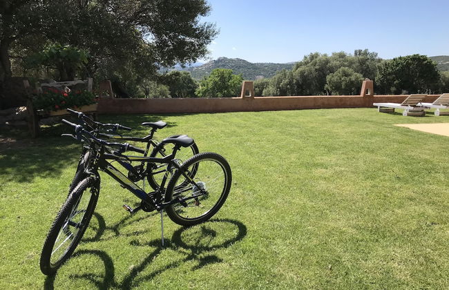 Agriturismo Monti di Jogliu - Photo 56