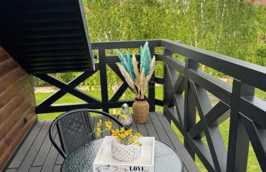 Lazurowy Azyl Borzygniew - Photo 9