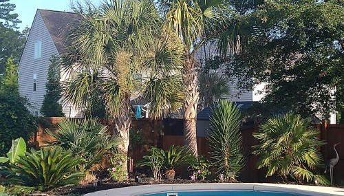 Private Master Suite for Solo Travelers and Pros - Foto 1