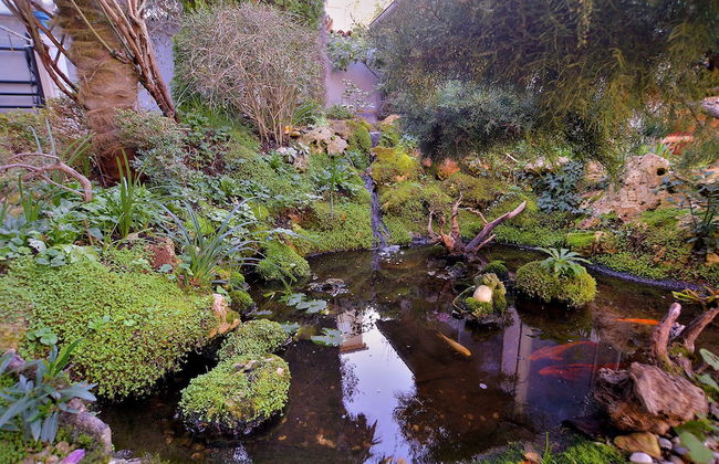 Apartments Mila 1039 - Foto 57