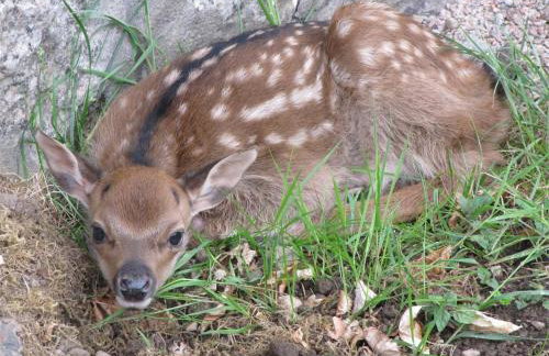 1 Bed in Alness oc-ca232 - Foto 16