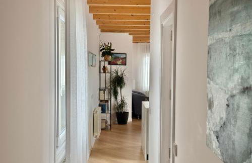 Señorial Panorámico by apartamentoscatedralcamino - Foto 15