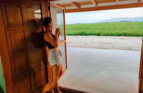 Masia Sisqueta - Photo 10