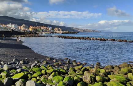 Vacacional Candelaria la Sardina - Foto 59