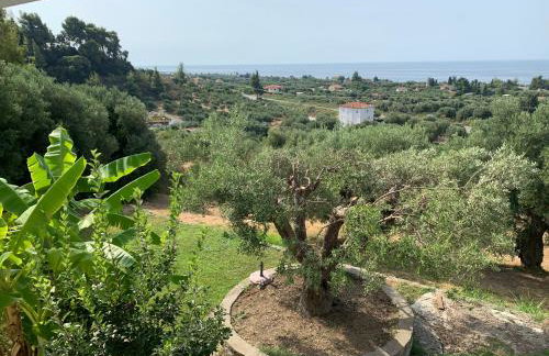 Olive stone Villa - Foto 48