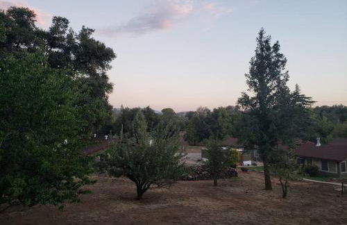 The Couple's Cabin in Wynola 2 NIGHT MINIMUM - Foto 43