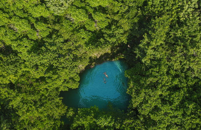 El Dorado Royale, Catamaran, Cenote, All & More Inclusive Adults Only - Photo 70