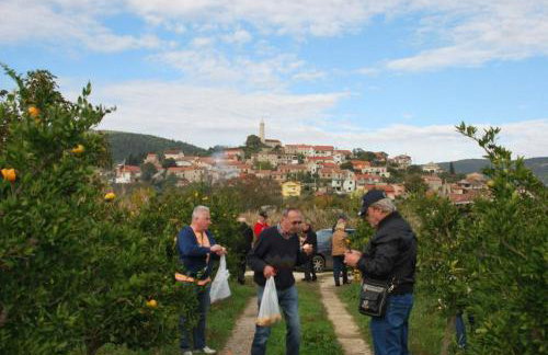 Villa Danica - Foto 47