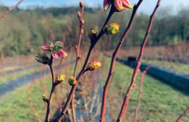 Quinta de Requeixo - Foto 60