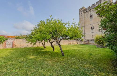 Charmante maison de ville avec vue sur le donjon avec wifi et jardin - Foto 39