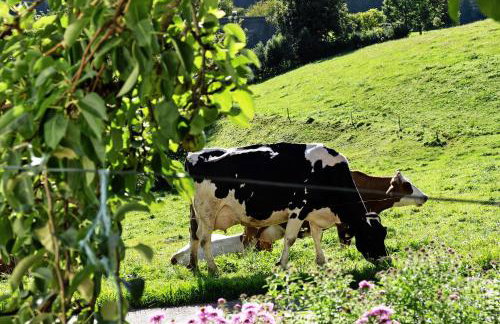 Willmannshof - Photo 77