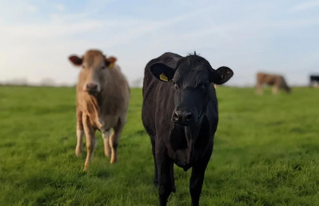 Stunning Shepherd's Hut Retreat, North Devon - Photo 24