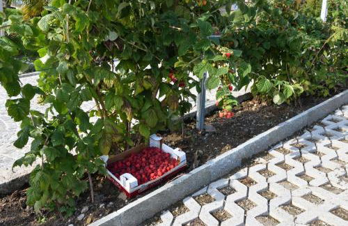 Agriturismo Il Colle - Foto 150