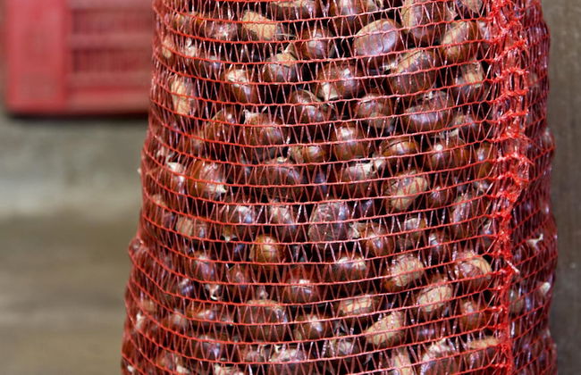 la Casetta Nel Bosco Feel the Nature - Foto 5