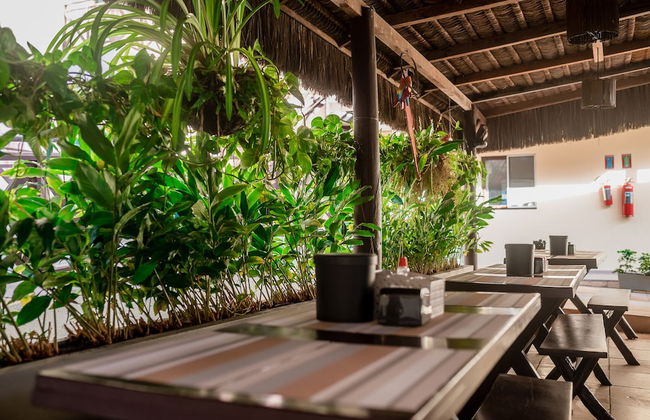 Apart Hotel Serantes - Photo 52