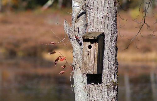 Pet-friendly, secluded, and peaceful pondside home near to Keene and Rindge NH - Foto 21