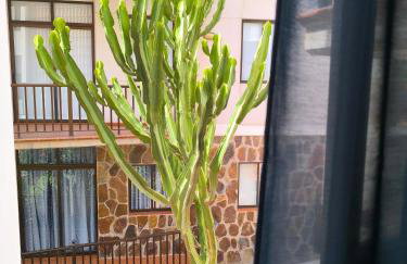 Rolin Apartment - Foto 13