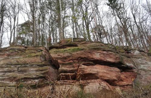 Felsenblick - Foto 16