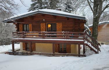Chalet de montagne familial - Foto 1