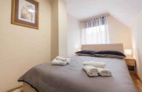 Awesome Home In Brestovac With Sauna - Foto 29