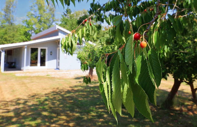 10 Person Holiday Home in Dannemare - Foto 33