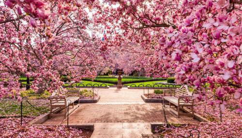 Hala Tysons - Foto 3