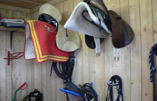 Reiterhof vom Litzlbach - Foto 55