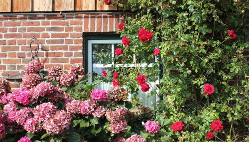 Ferienvermietung Meerlandliebe - Foto 3, Garden, Garden view