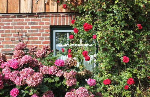 Ferienvermietung Meerlandliebe - Foto 3