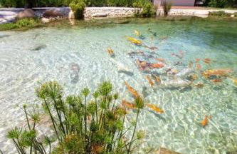 Condado de Urubici - Cabana - Foto 8