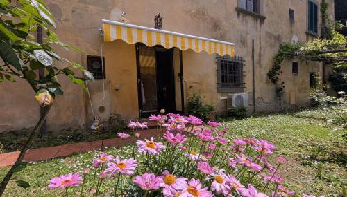 Fontestanza - La Mimosa - Foto 2