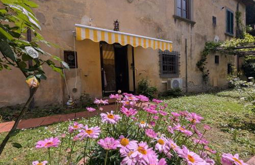 Fontestanza - La Mimosa - Foto 2