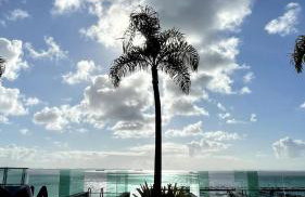 Cloc Marina Carnaval em Salvador 2025 - Foto 17