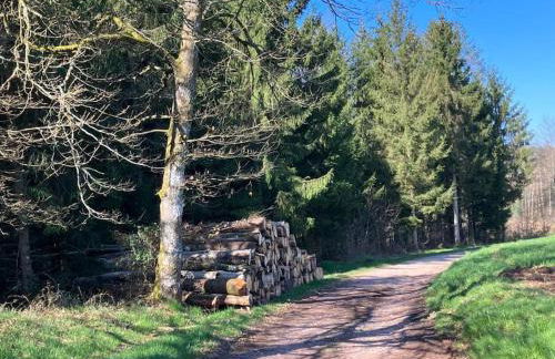 Gite l'Échapée Belle dans les Vosges - Foto 67