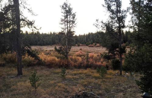 Wild Woods - Cascades Riverside Retreat - Foto 27