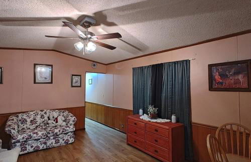 Unique Yet Cozy Victorian Home in Tioga County PA - Foto 29