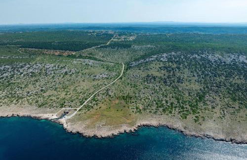 Pecora Nera - Photo 56