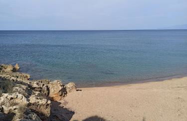 Tzanetos Pelagos - Foto 38