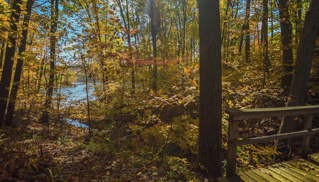 Servizio della struttura