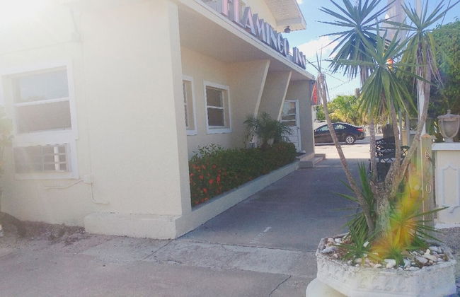Flamingo Inn - Foto 27