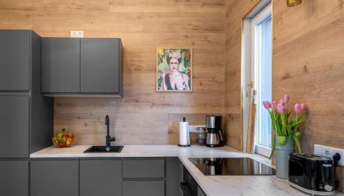 Stadtwohnung in bester Lage - Photo 4, stove, pet friendly, toaster