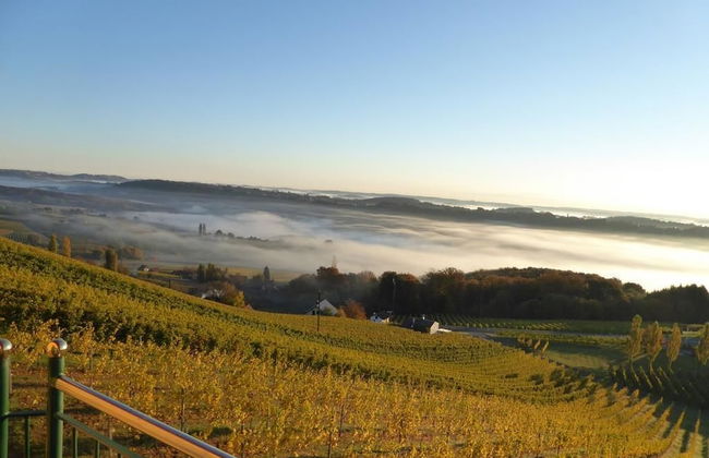 Weinberg Lodge - Kellerstöckl - Foto 11