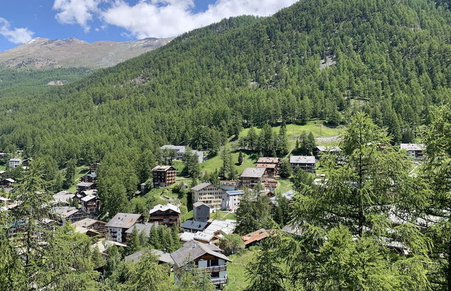 Appartements Zermatt Paradies - Photo 51