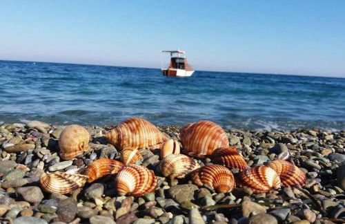 Κατοικία Πανόραμα, Πραγματευτή Λεωνιδίου, Τ.Κ.22300 - Photo 41