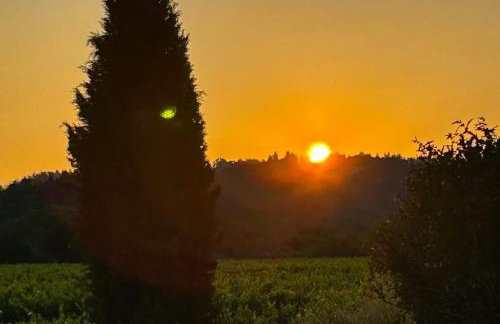 Magnolia Ranch Vineyards - Foto 24