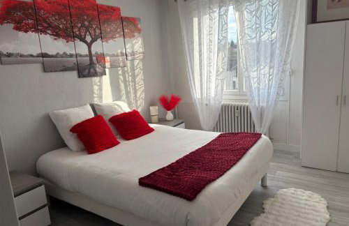 Appartement F4 meublé 75m2 trois chambres avec balcon - Foto 3