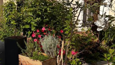 La casa d'Iza - Foto 2